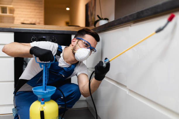 Best Flea Control Services  in Biltmore Forest, NC