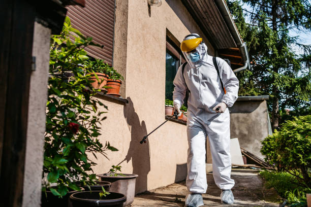 Best Local Pest Control Services  in Biltmore Forest, NC