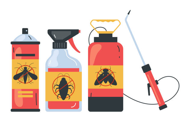 Professional Pest Control in Biltmore Forest, NC
