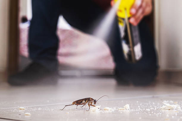 Best Local Pest Control Services  in Biltmore Forest, NC